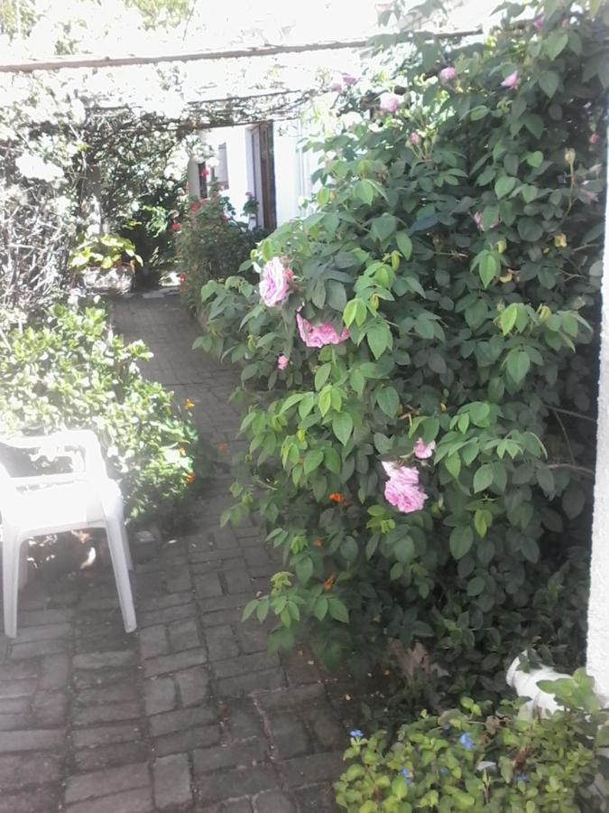 Self Catering Unit 6, Sandbaai Херманус Экстерьер фото