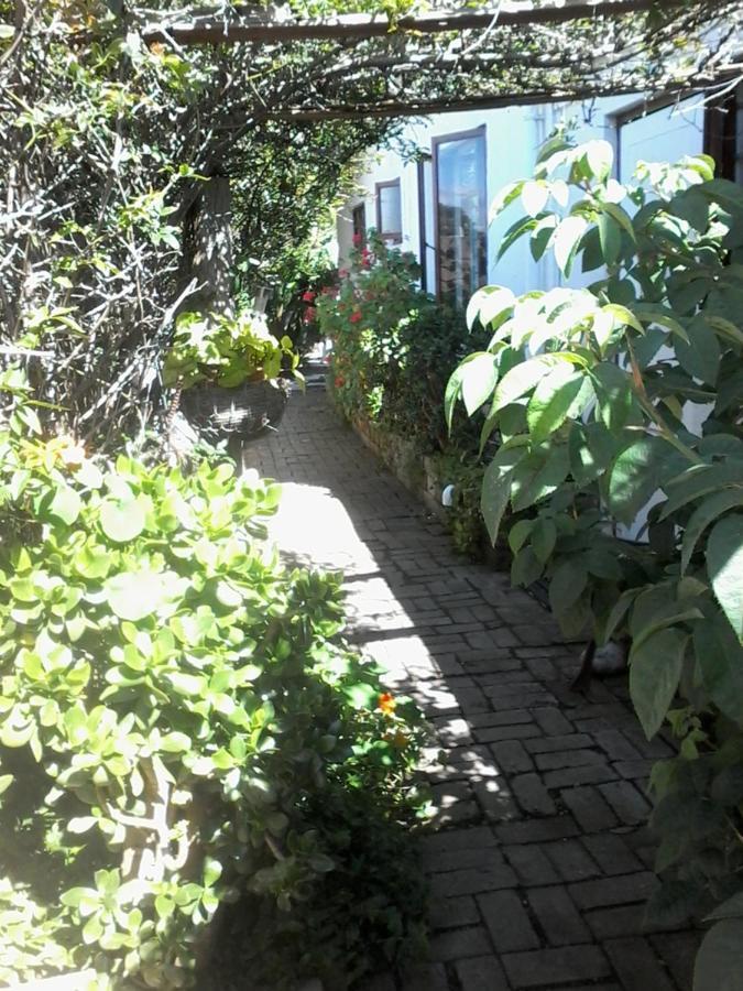 Self Catering Unit 6, Sandbaai Херманус Экстерьер фото